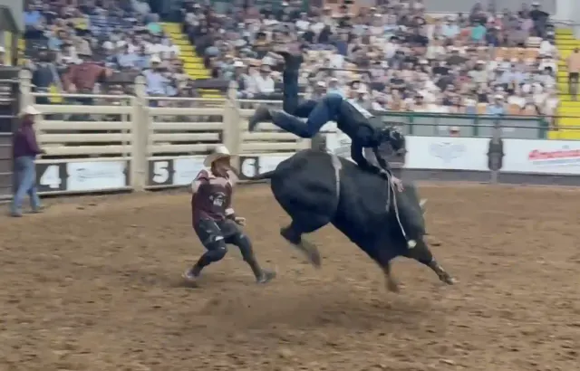 CPB Airborne on Bull